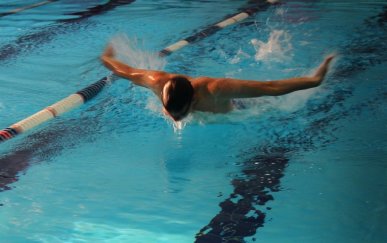 Основы техники плавания стилем баттерфляй