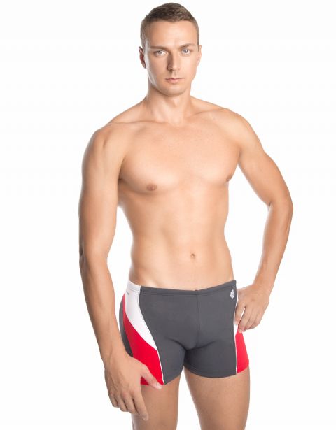 Плавки-шорты мужские Spirit